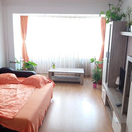 Apartament Anca Appartement Constanţa Buitenkant foto